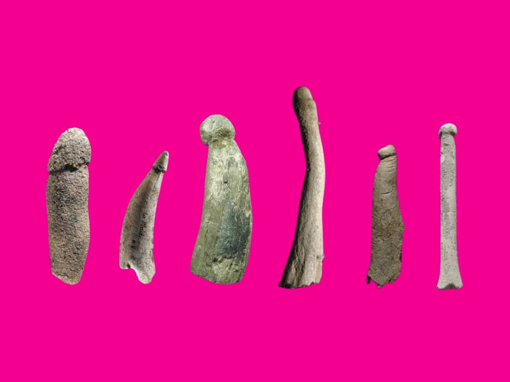 Exploring the Erotic: Dildos 🗿