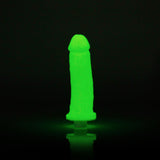 Silicone Penis Casting Kit Glow In The Dark DIY Dildo Bachelorette Valentine's Day Gift