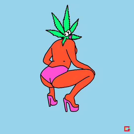 Weed And Sex: A Conversation <br>With Ladies Of Paradise 🌳